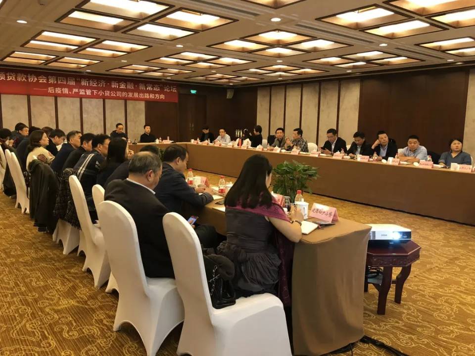     mg冰球突破幼贷参与市幼贷协会“新经济·新金融·新常态”论坛 