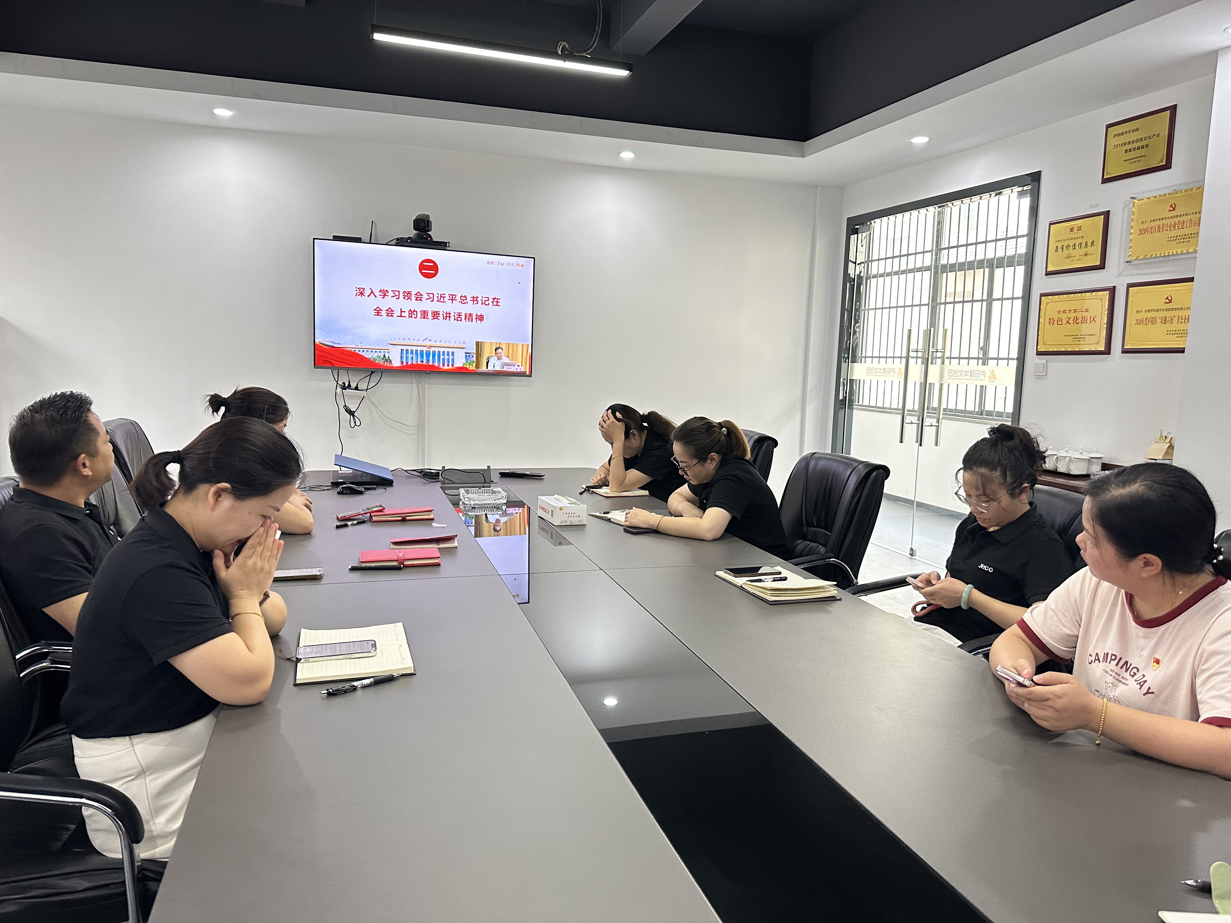 庐阳mg冰球突破文创园党支部积极组织收看“举旗号·送理论”心灵示范宣讲活动