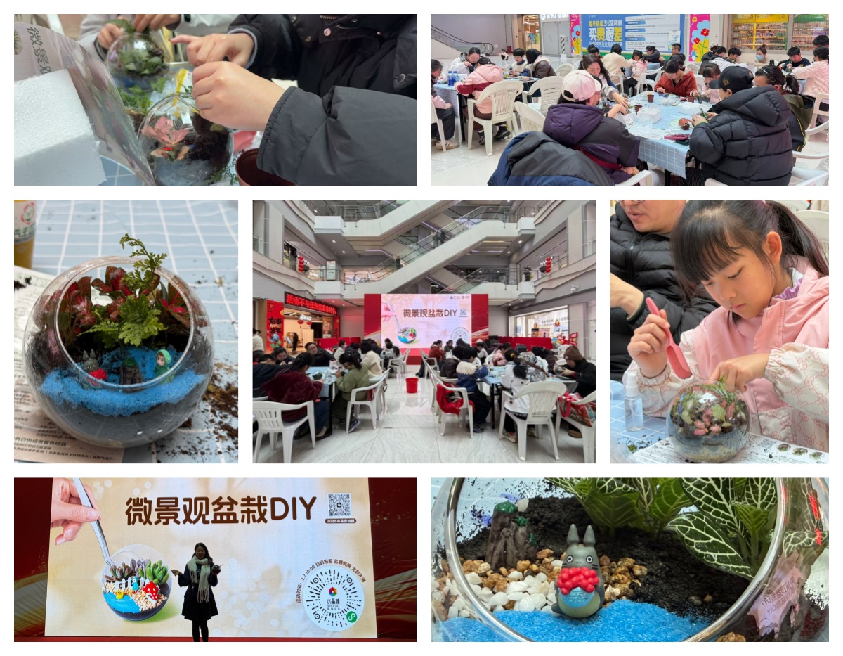 巧手造微景，指尖绽春意——水晶城微景观盆栽 DIY 活动圆满进行